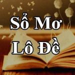 Mơ Thấy Con Lươn Đánh Số Gì? Giải Mã Giấc Mơ Chi Tiết Và Chính Xác